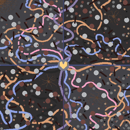 Inside the Body