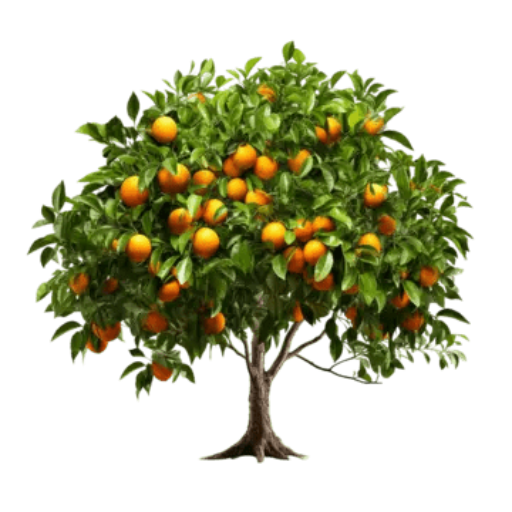 Steam Workshop::Orange tree