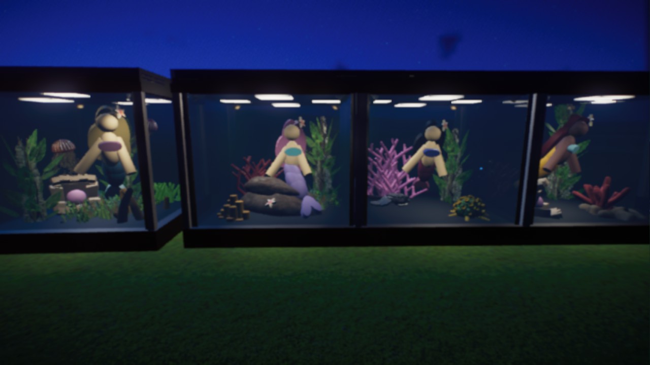 Mermaids in the box - Fantasy Aquarium Collection