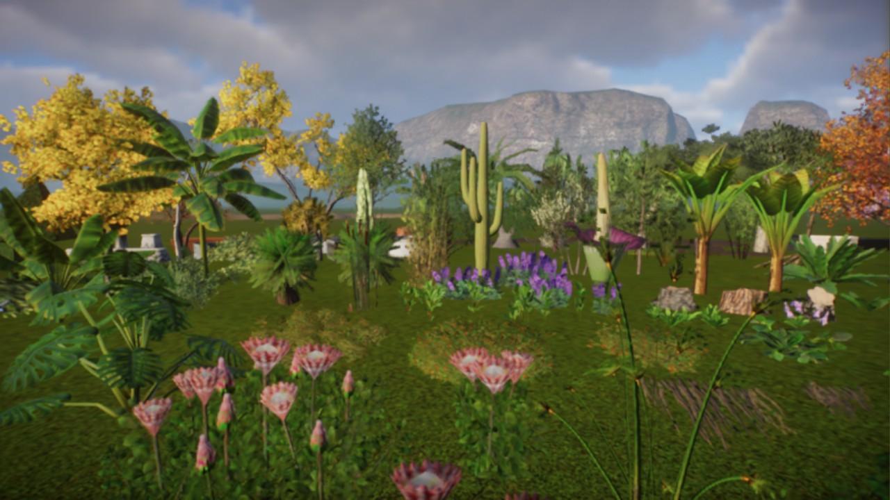 The ultimate 'Build your own planters' Pack