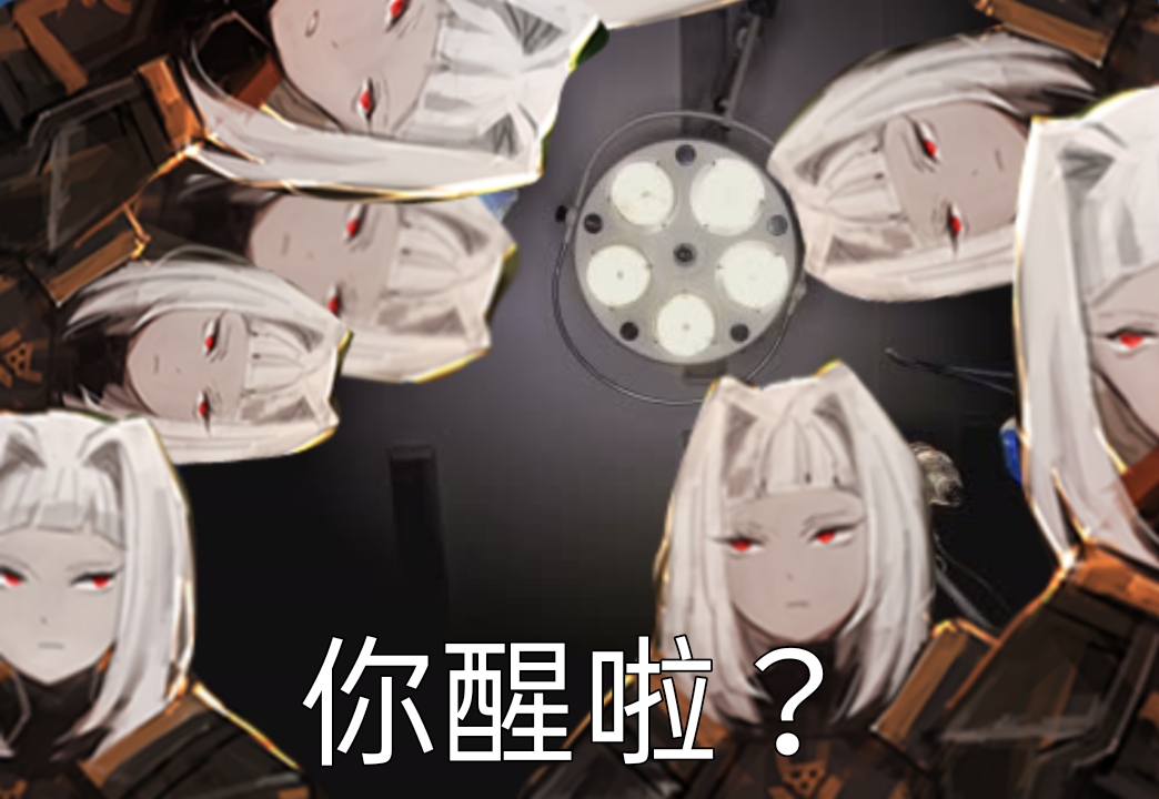 接待一群缪