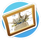 R01
