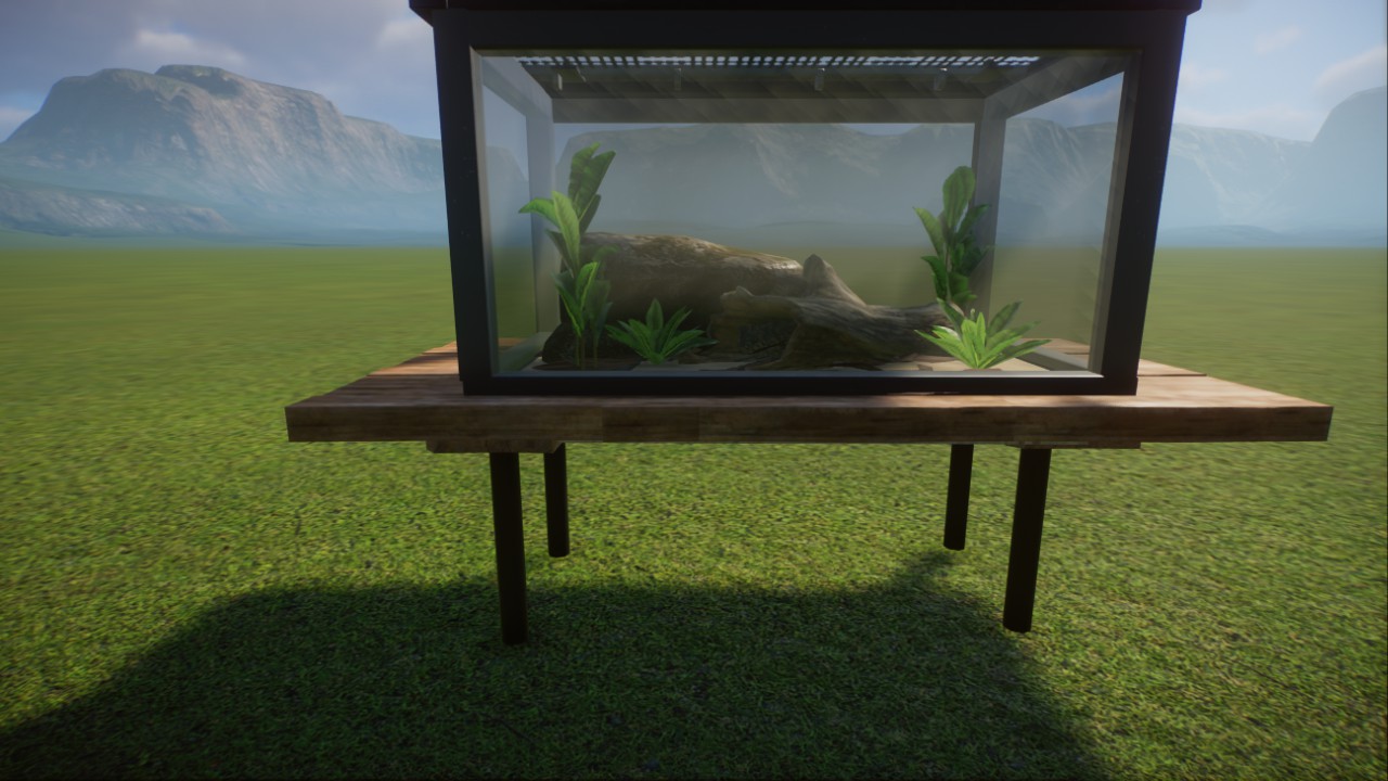 Endler Guppy Tank