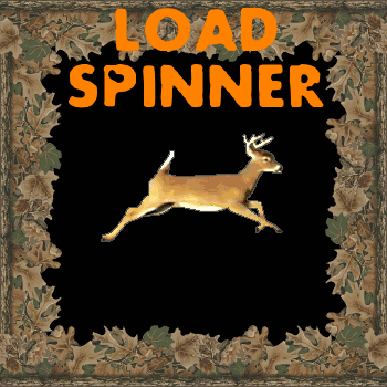 Hunting Adventure: Deer Load Spinner

