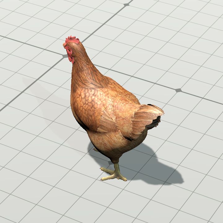 Chicken, Tawny