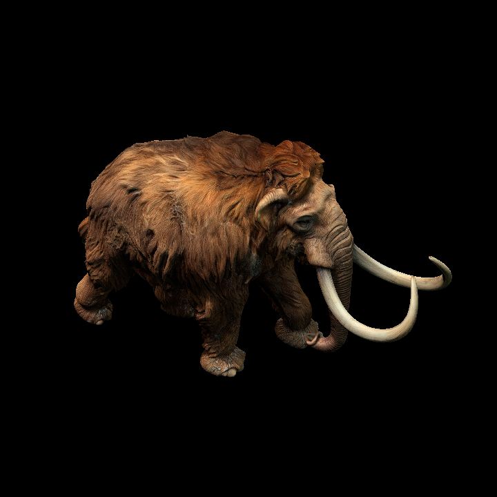Mammoth #1