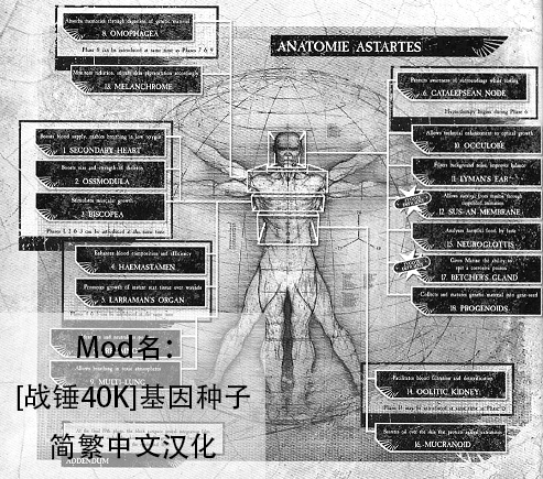 [WarHammer 40k] GeneSeed [Adopted] 简繁中文汉化
