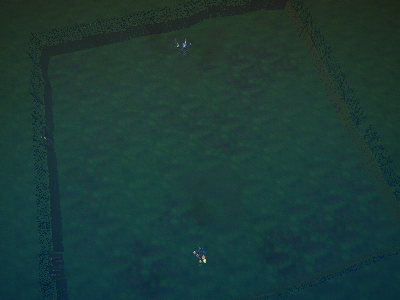 New map