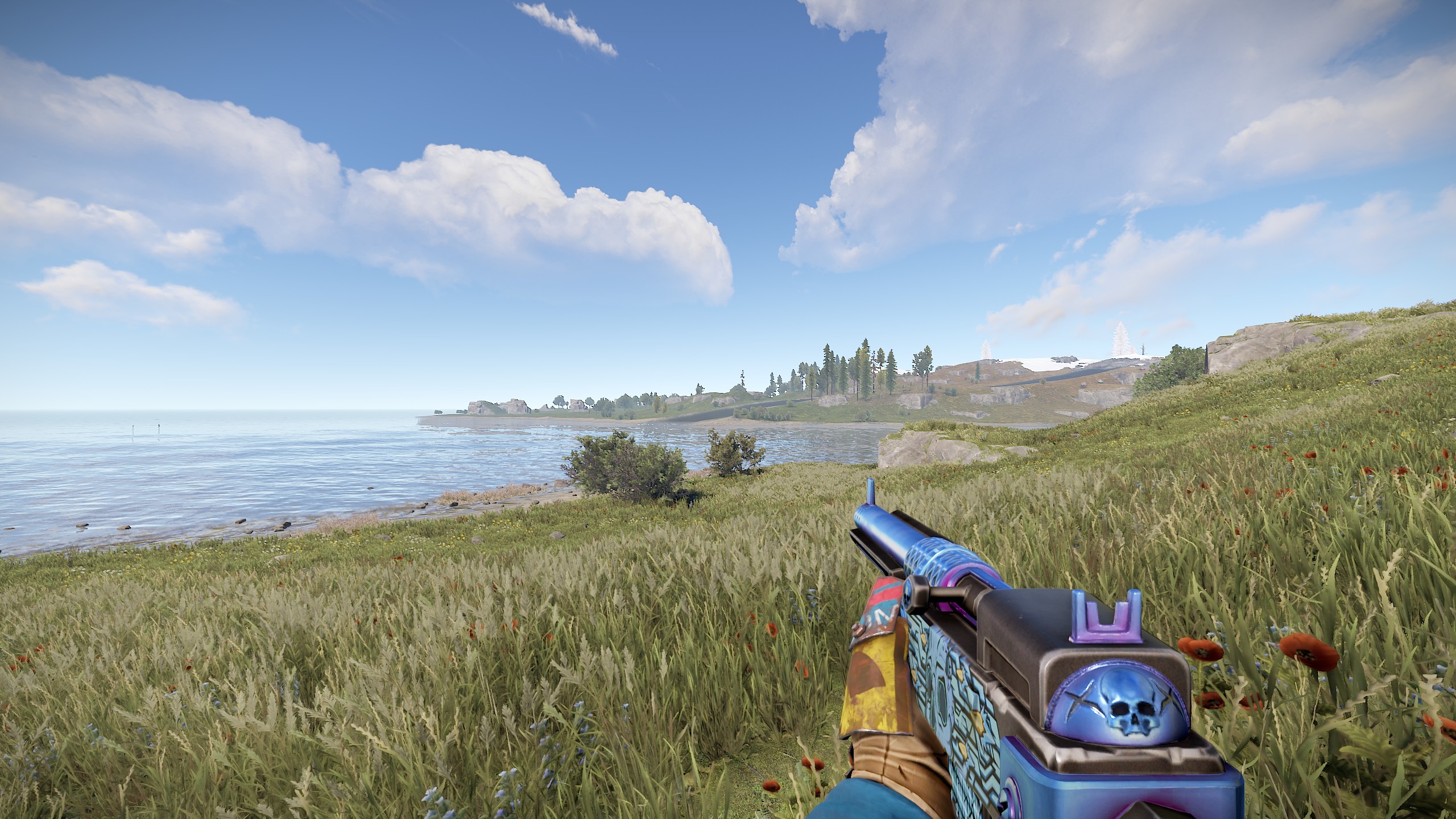 Skullkiller SAR