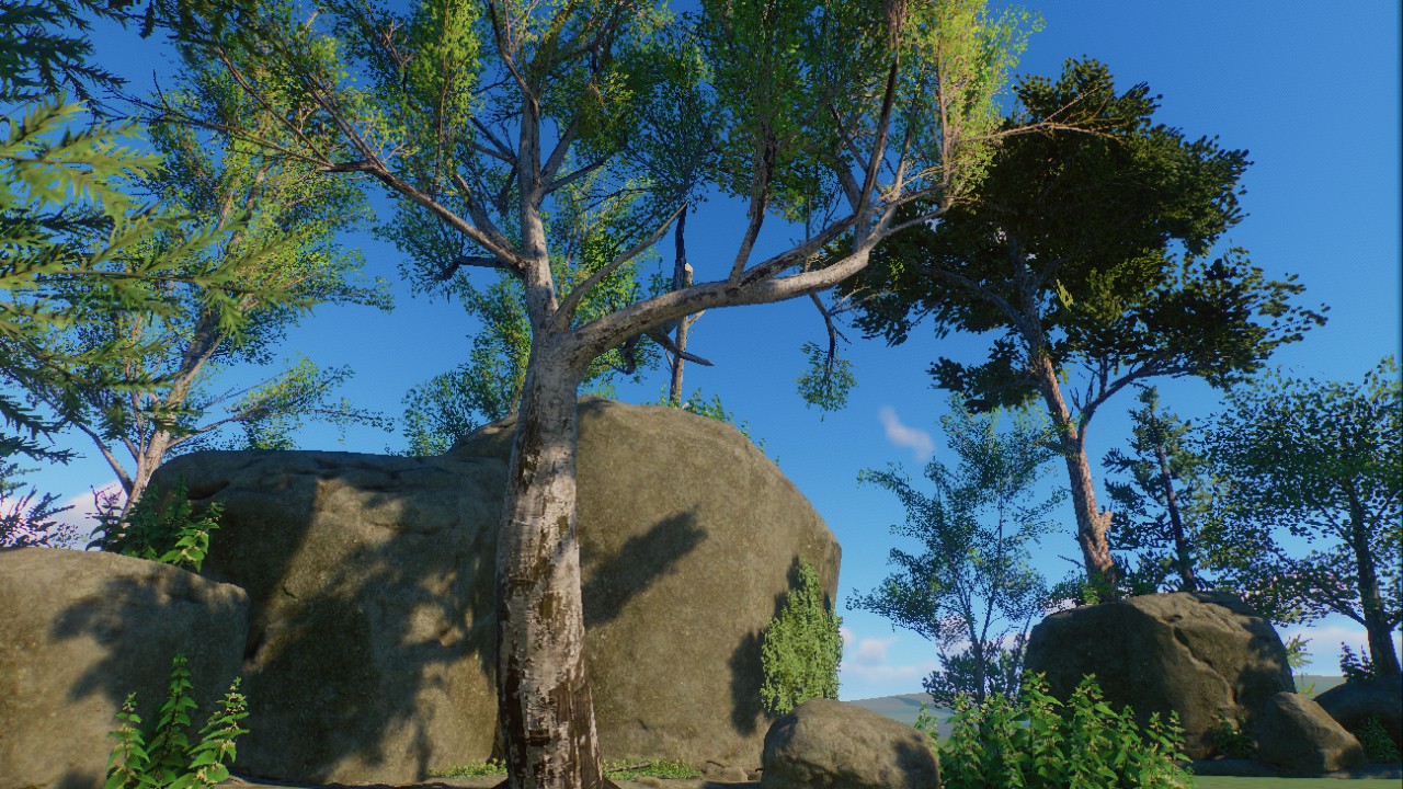 Rockformation With Trees