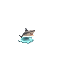 shark decor-pets preview