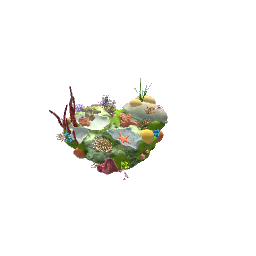coral decor large-pets preview