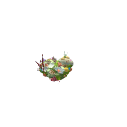 coral decor small-pets preview