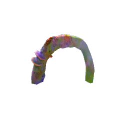 coral arch decor-pets preview