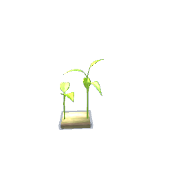 fish tank plant decor2-pets preview