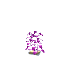 fish tank plant decor12-pets preview