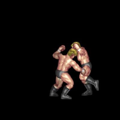 カウンターDDT　Counter DDT