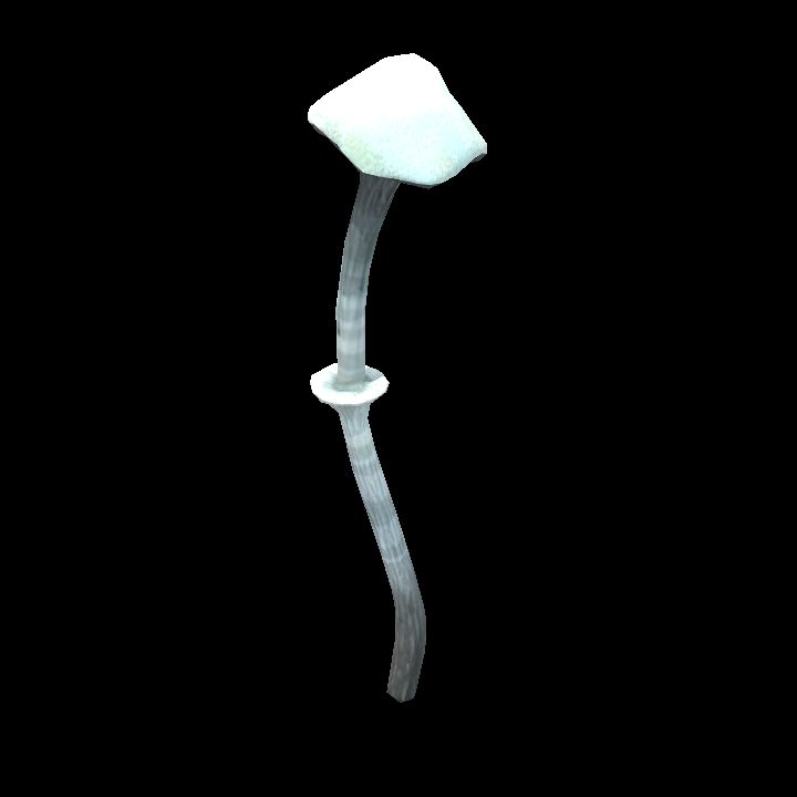 Mushroom_28