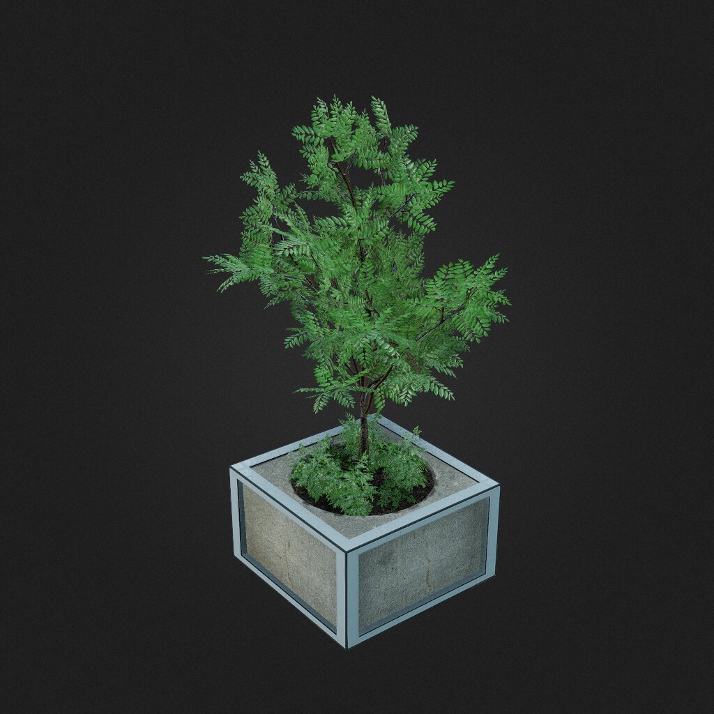 Tree Pot