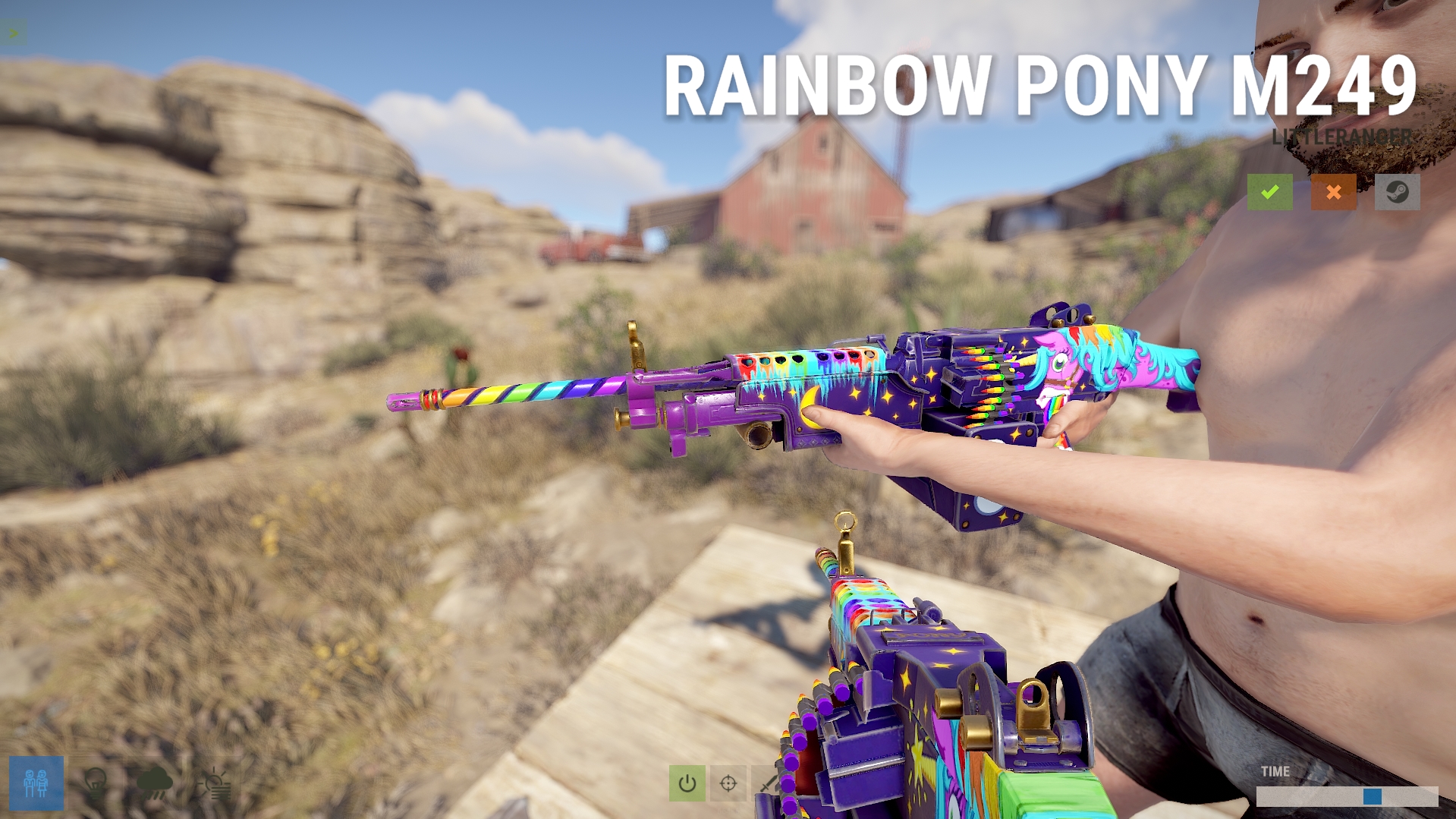Rainbow Pony M249
