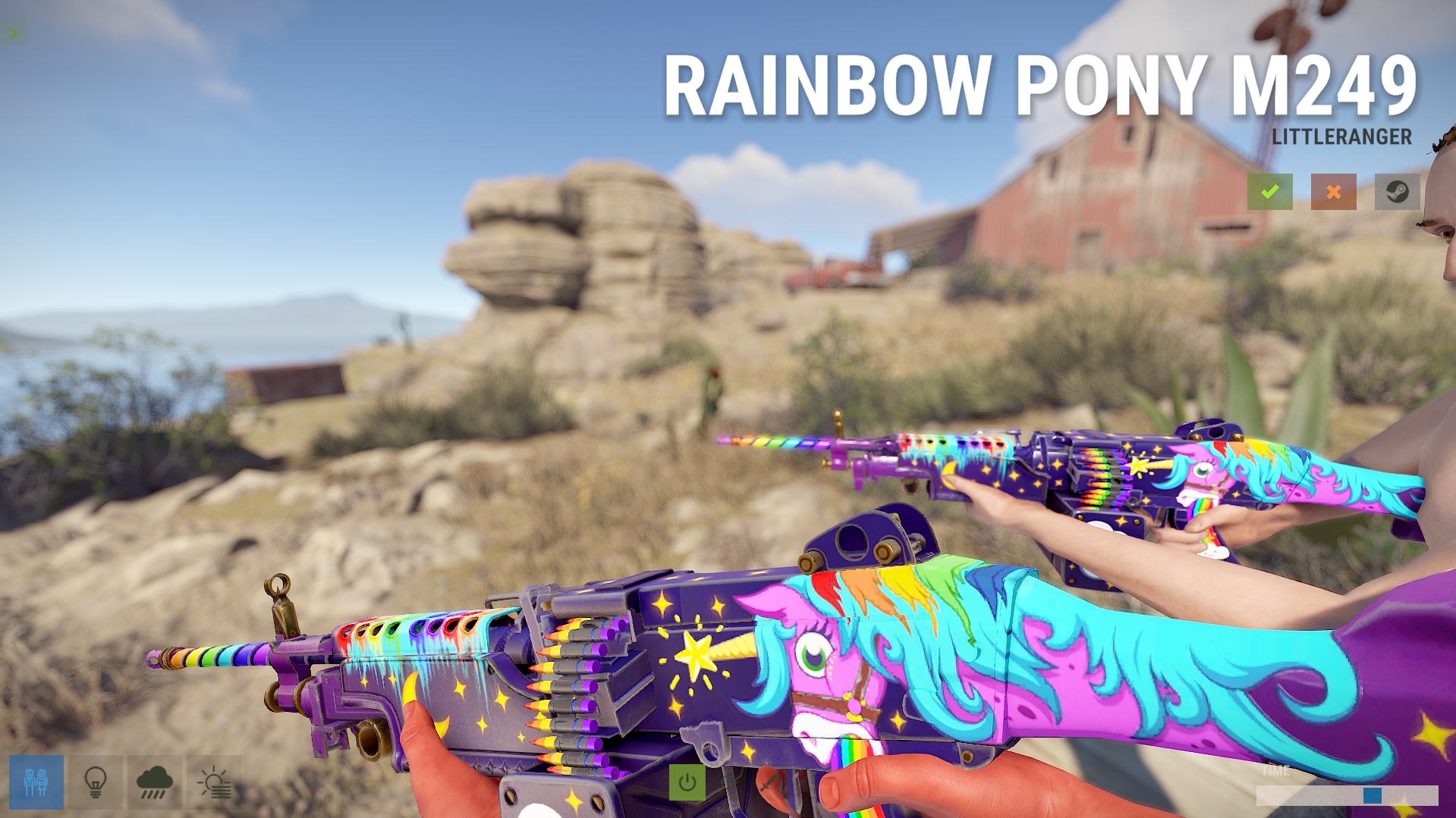 Rainbow Pony M249