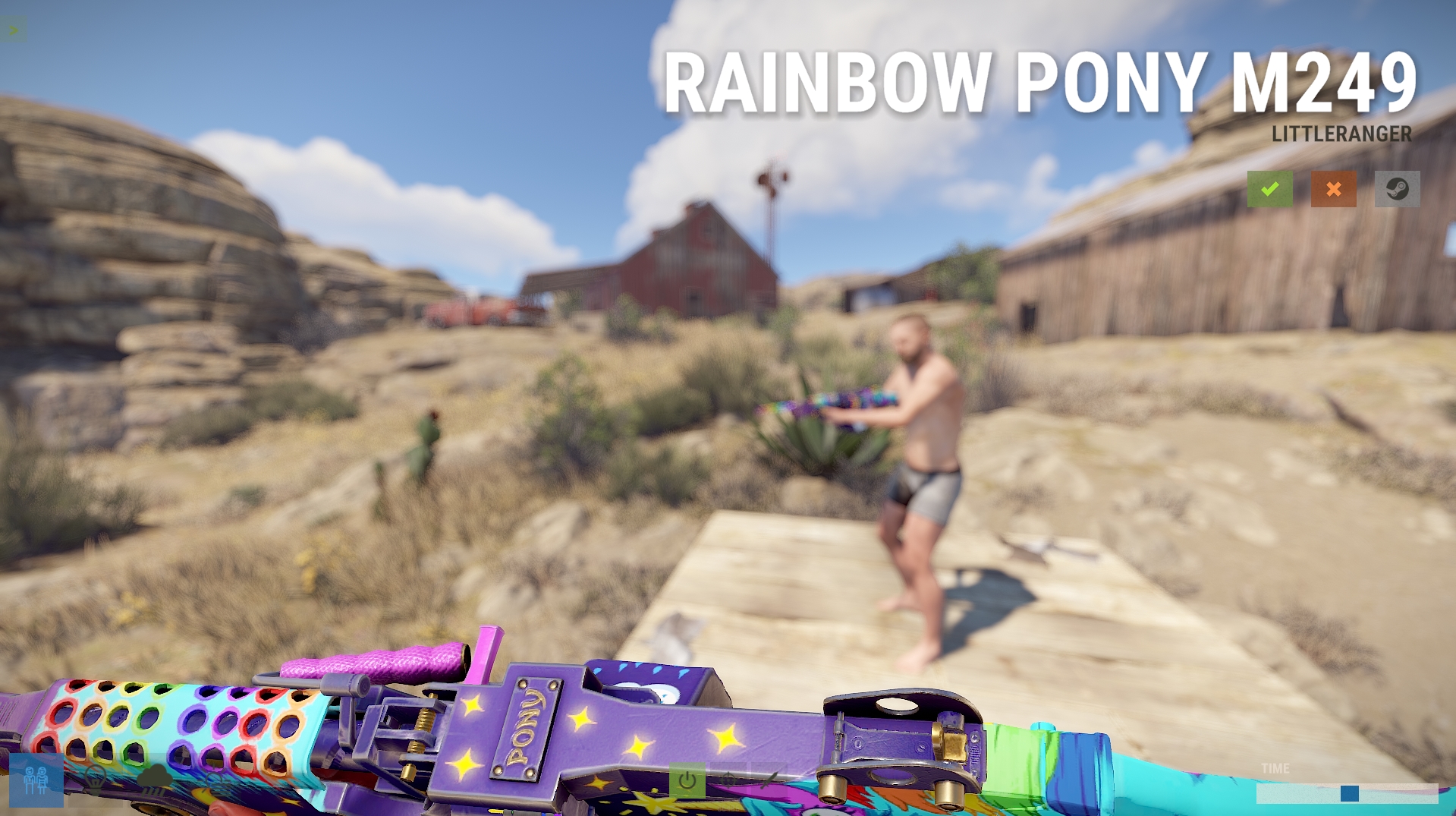 Rainbow Pony M249
