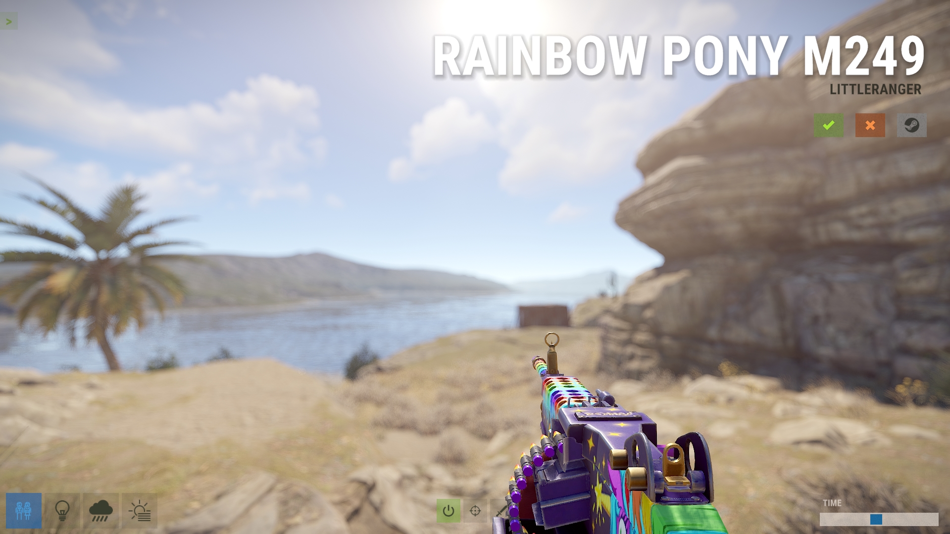 Rainbow Pony M249
