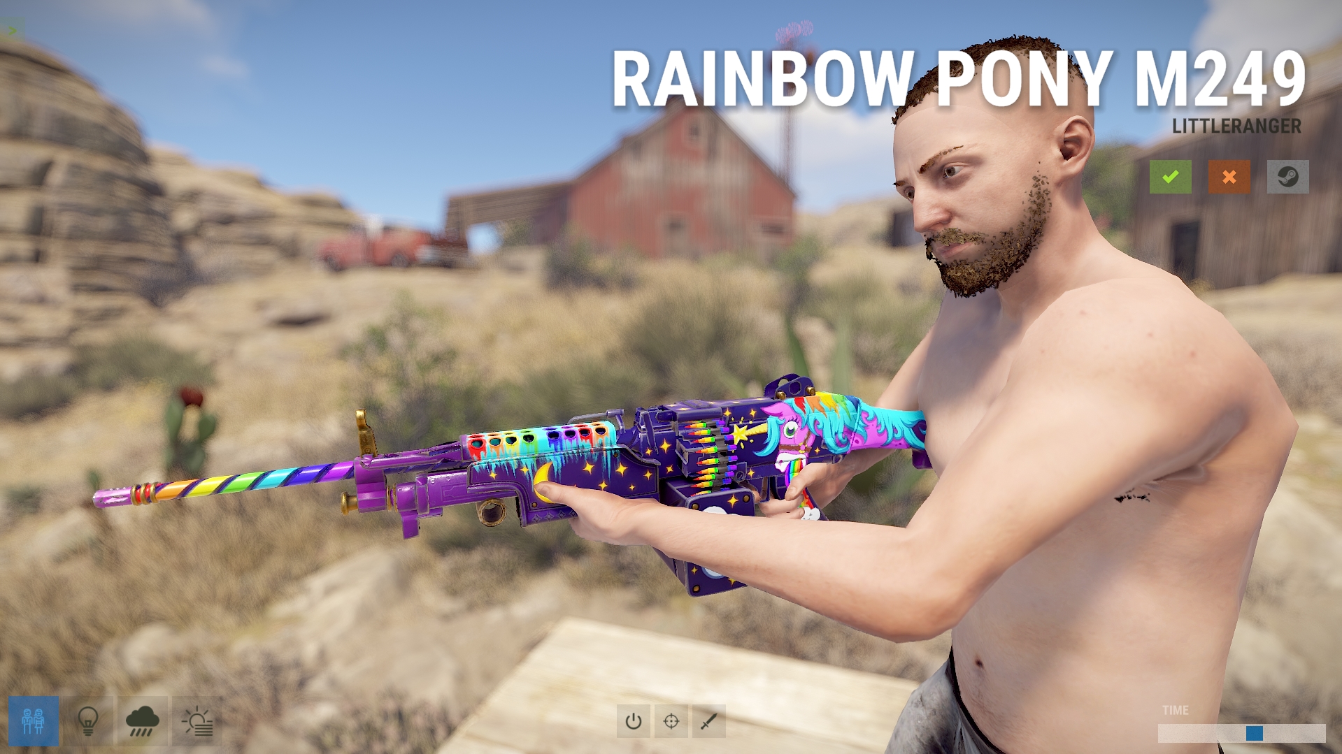 Rainbow Pony M249