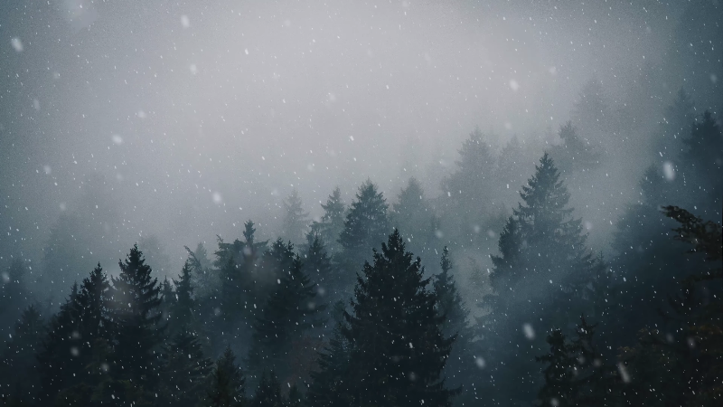 Misty mountains