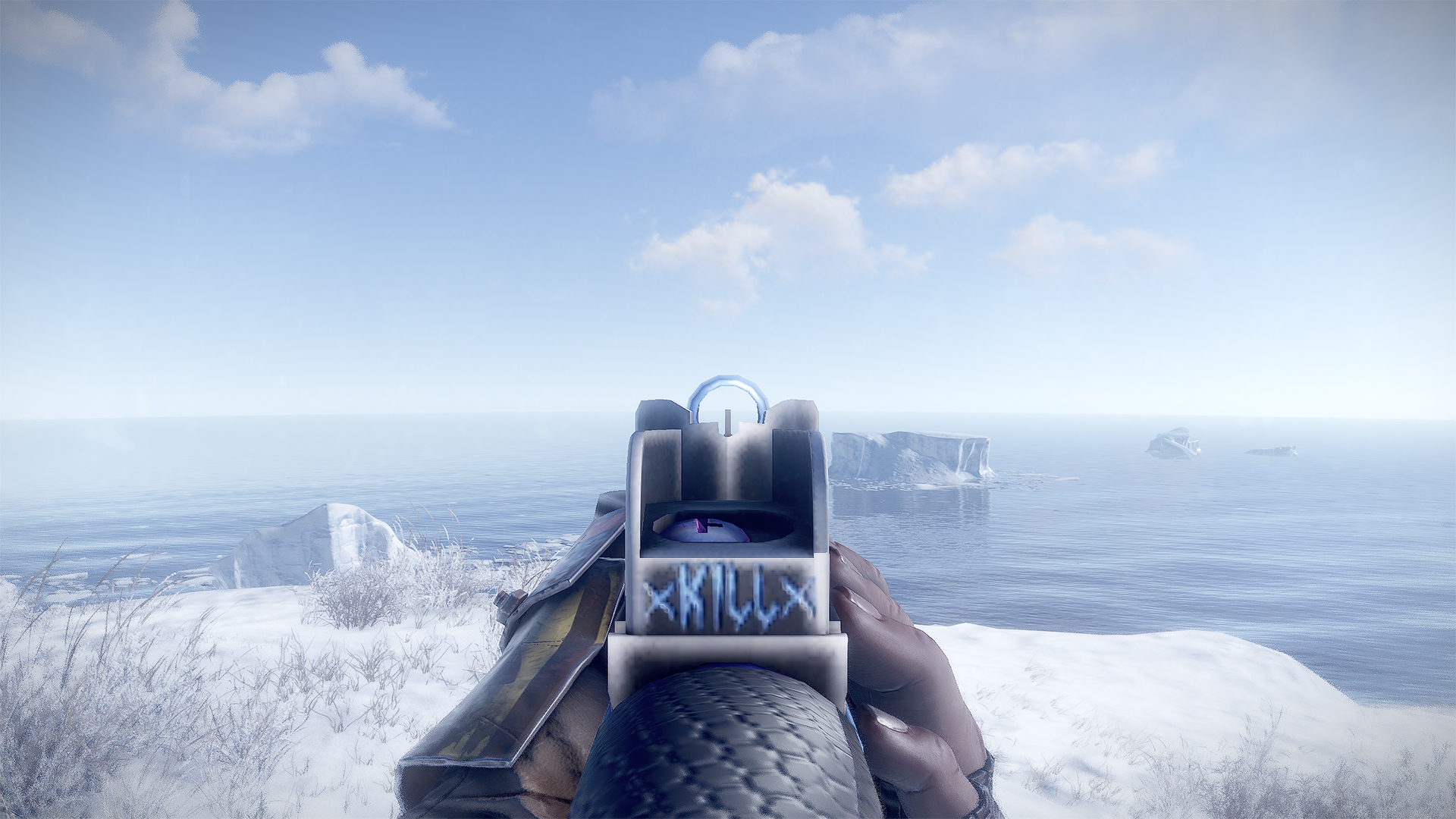Skullkiller MP5