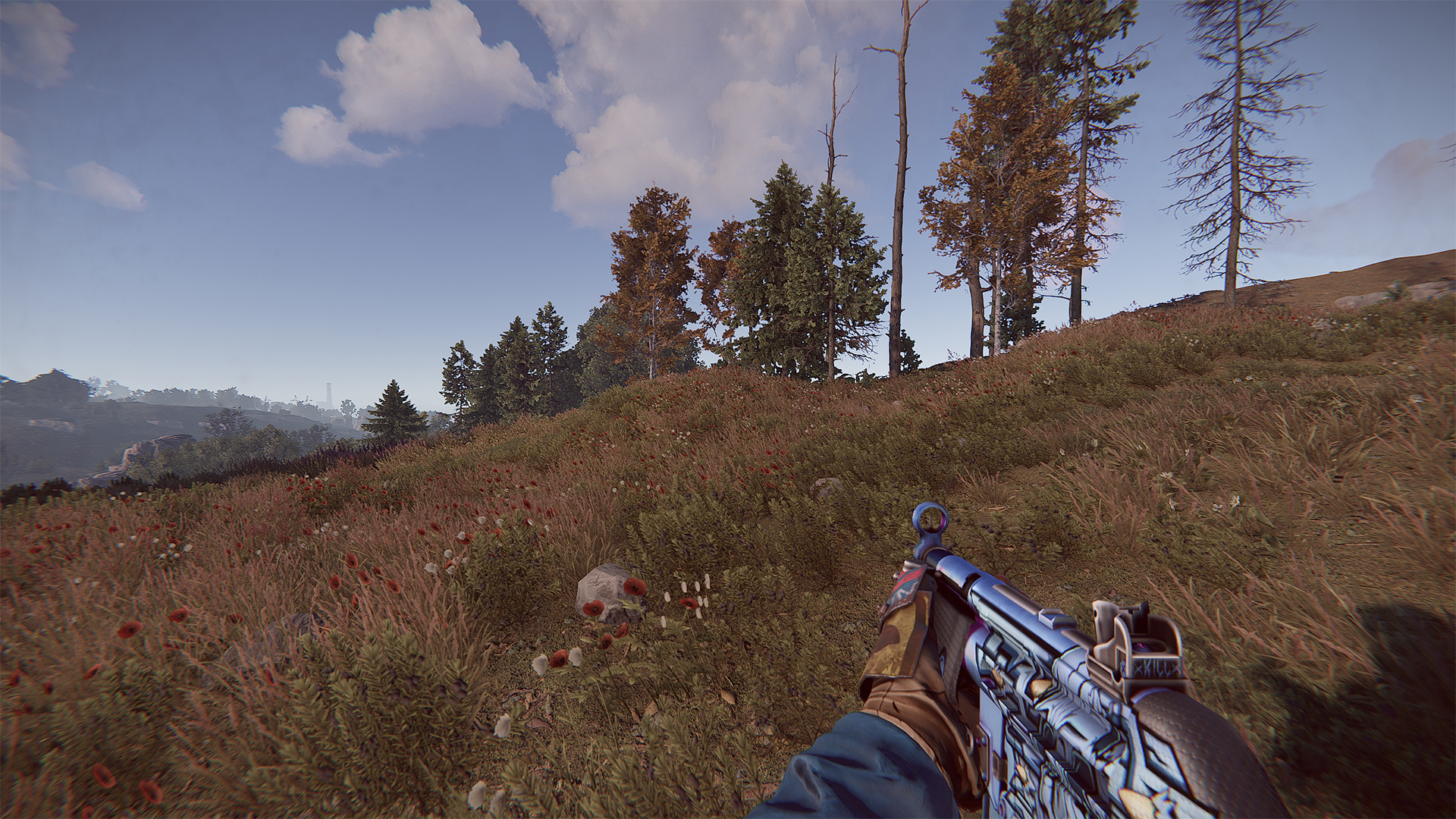 Skullkiller MP5