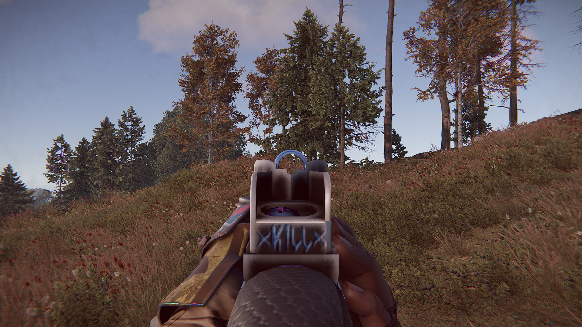 Skullkiller MP5