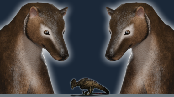 Thylacine Companion