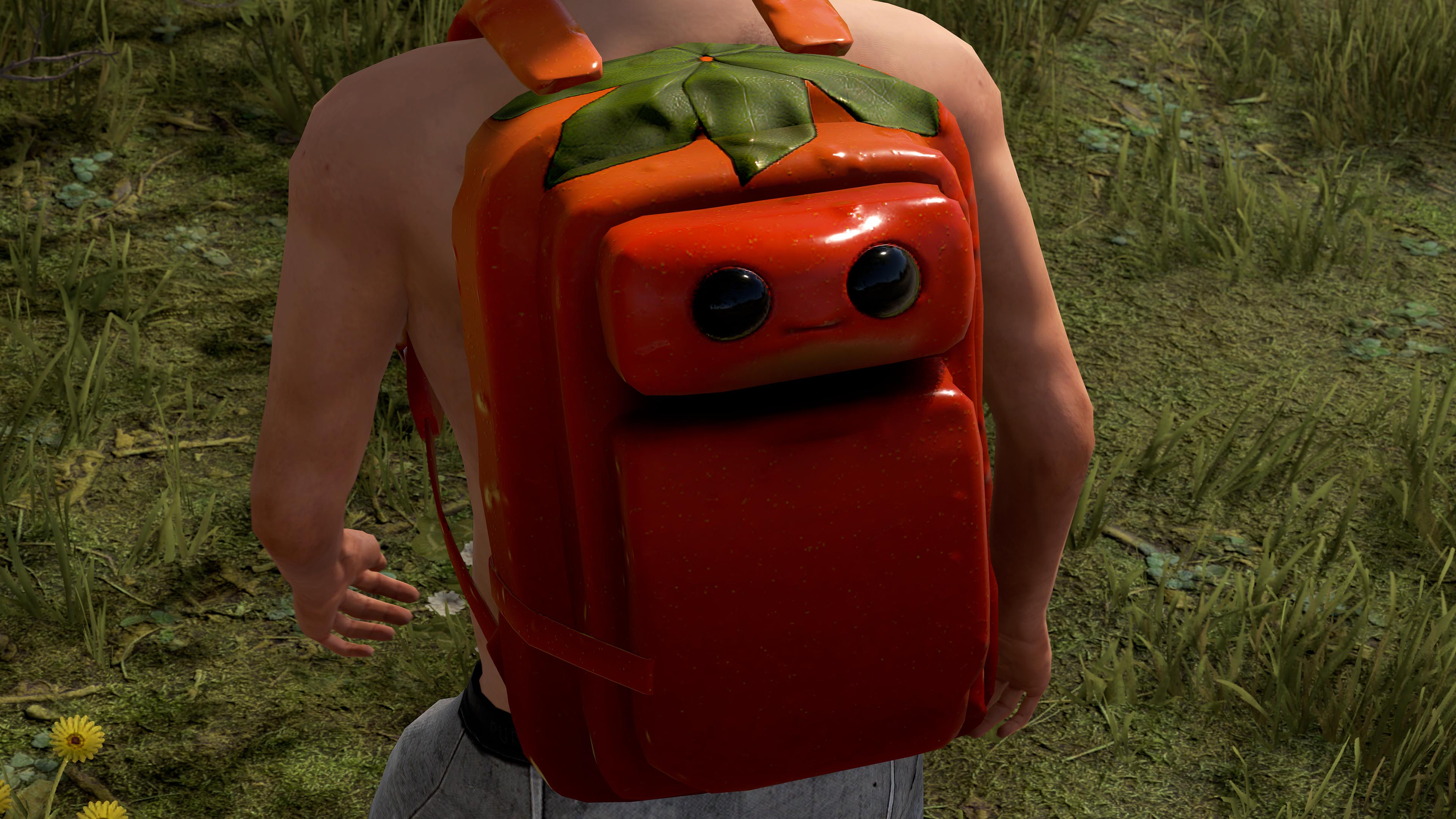 Señor Tomato Large Backpack thumbnail 5