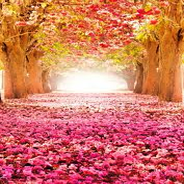 Human Flower Hybrid Blessing