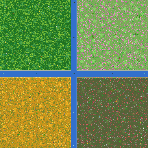 Four races