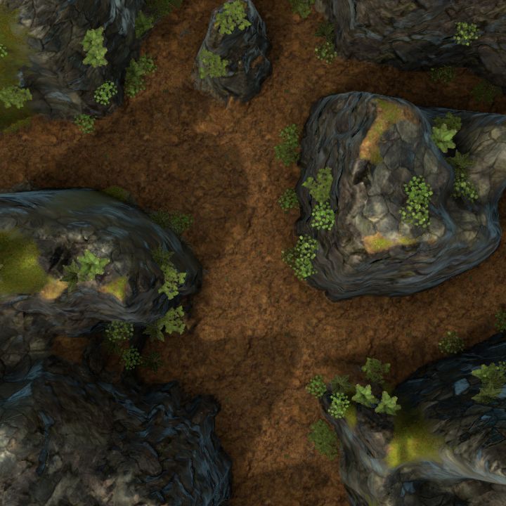 Mountain Ravine