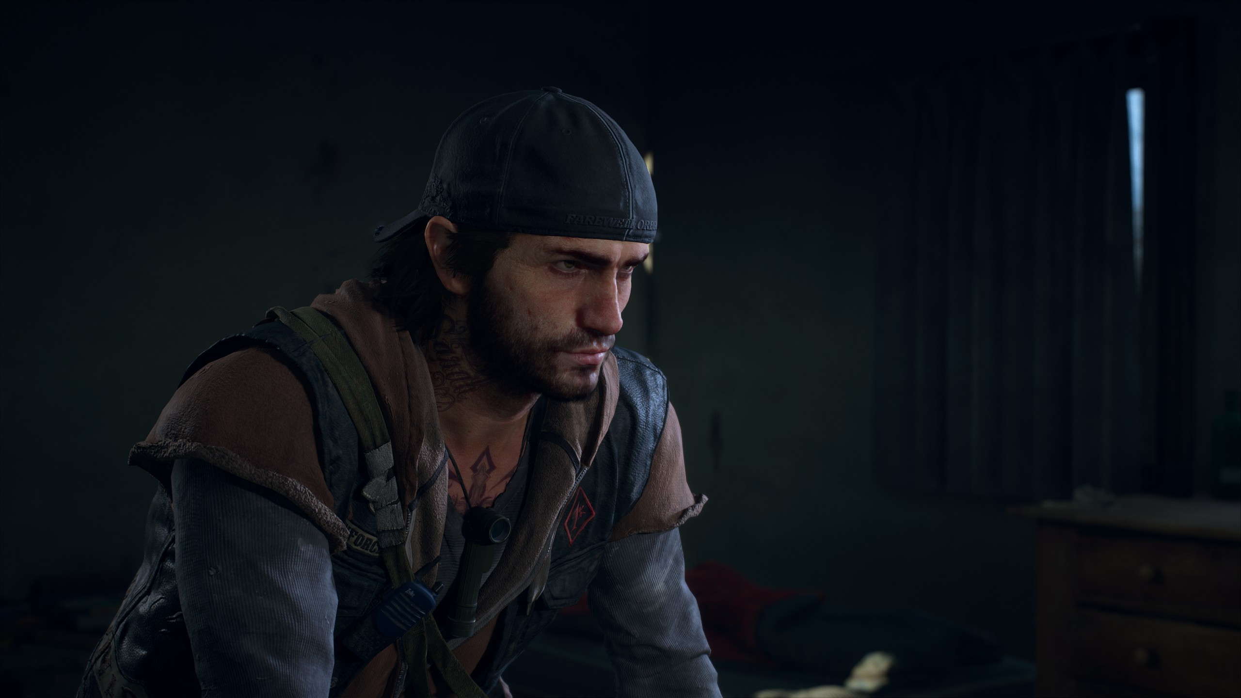 Скриншот Days Gone