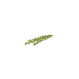 Sprig of Herbs (flat)