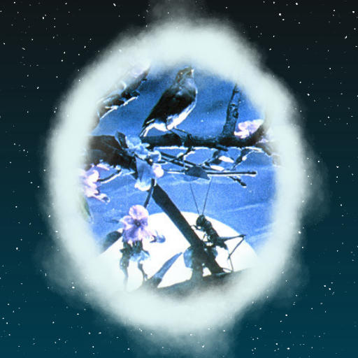 Plum - Nightingale