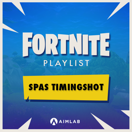 Fortnite - SPAS Timingshot