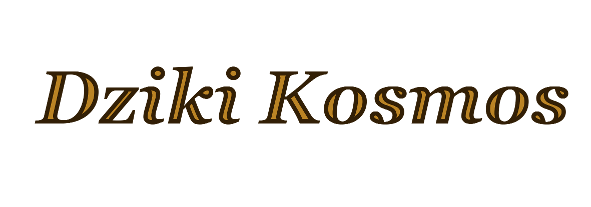 Dziki Kosmos