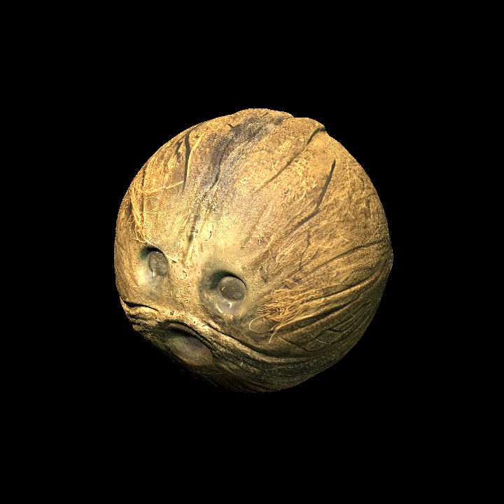 Coconut 1