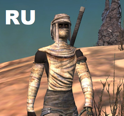 Desert Ninja Rags - RU
