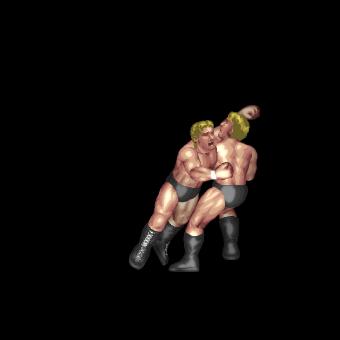Crazy Lariat