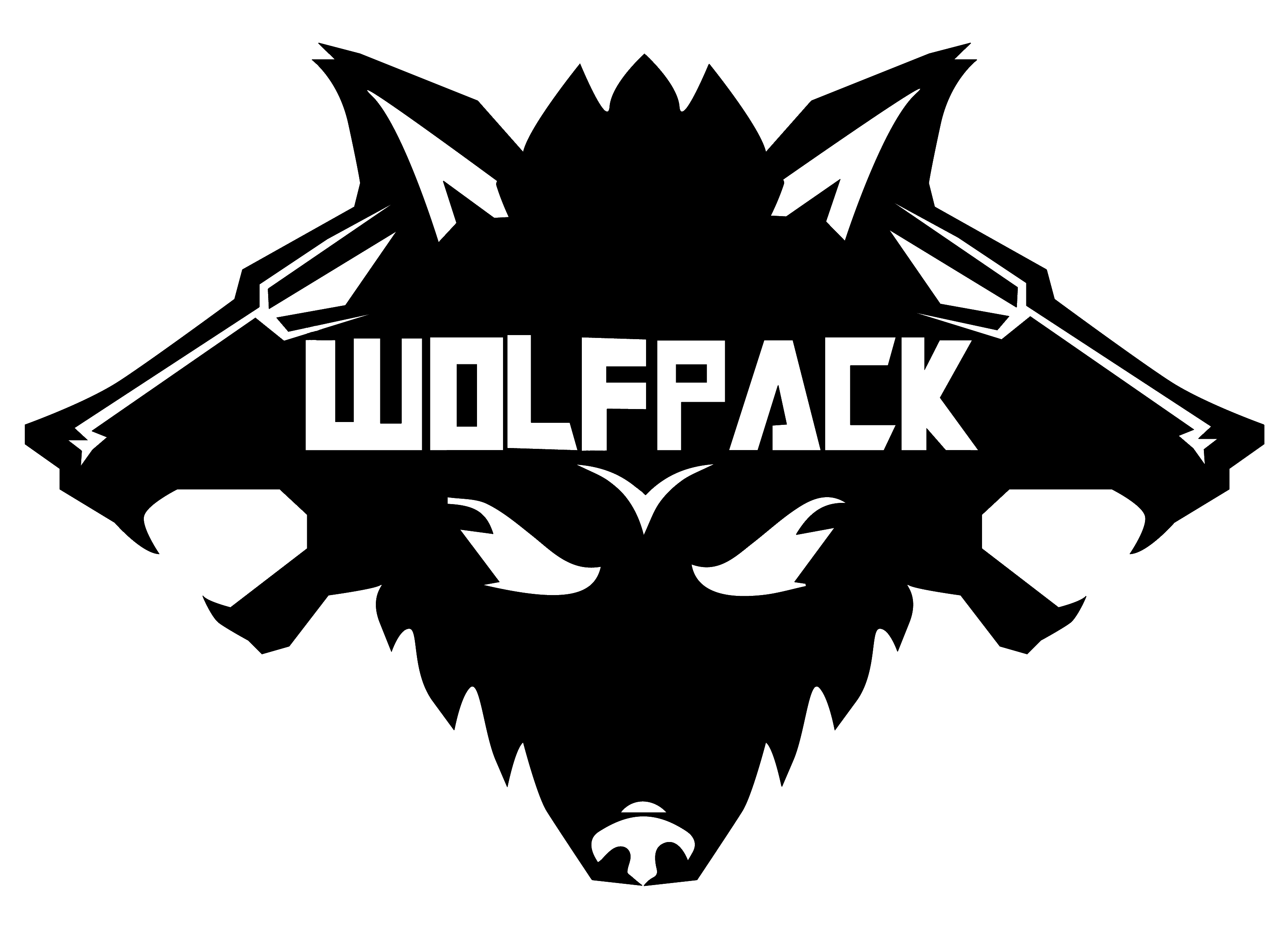 WolfPack_Trainning