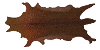 Dead Animal Corpse