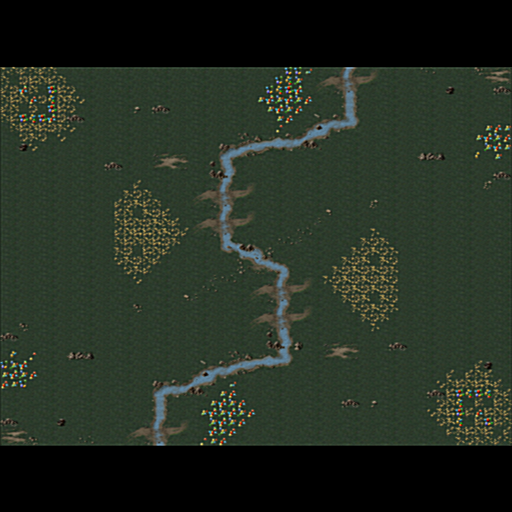 Forest Rush (2 Players TE)