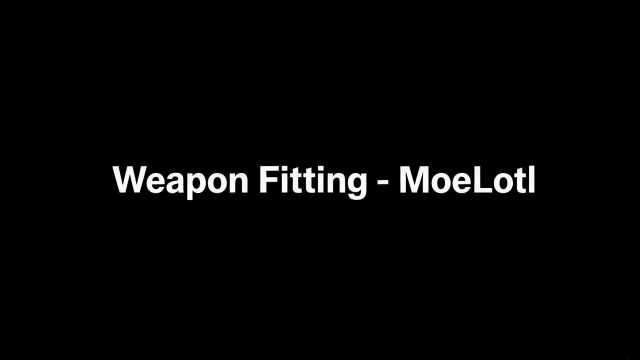 Weapon Fitting - MoeLotl