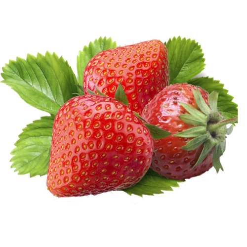 Erdbeere